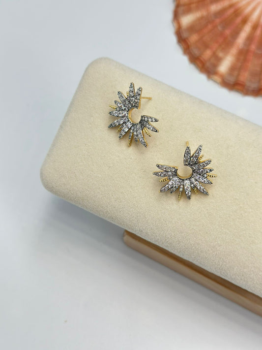 Çift Renk Minimal Yıldız Küpe (Çelik)