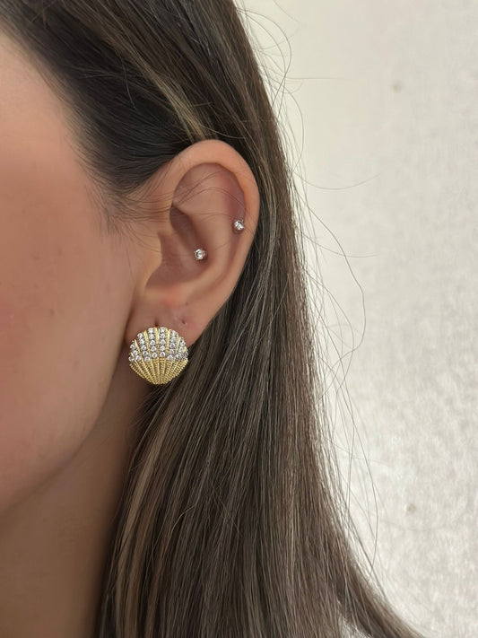 Zirkon Taş Detay İstiridye Çelik Küpe