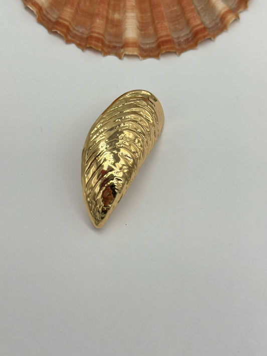 Deniz Kabuğu Broş
