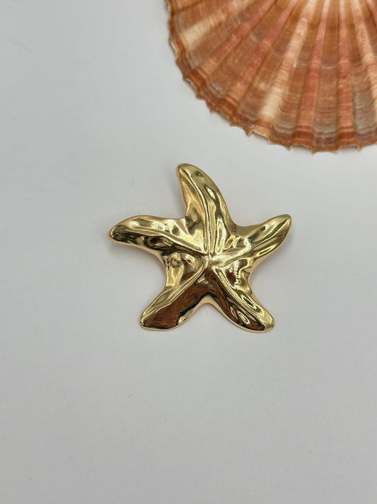 Deniz Yıldızı Broş
