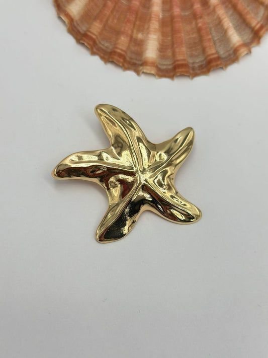 Deniz Yıldızı Broş
