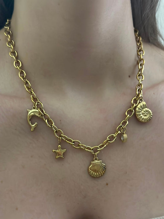 Deniz Kabuğu Charm Çelik Kolye