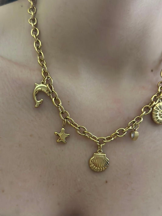 Deniz Kabuğu Charm Çelik Kolye