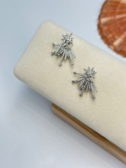 Çift Kullanım Kutup Yıldızı Küpe (Çelik)