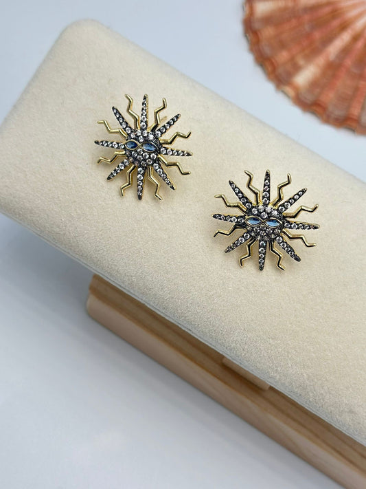 Çift Renk Zirkon Taş Detay Güneş Küpe (Çelik)