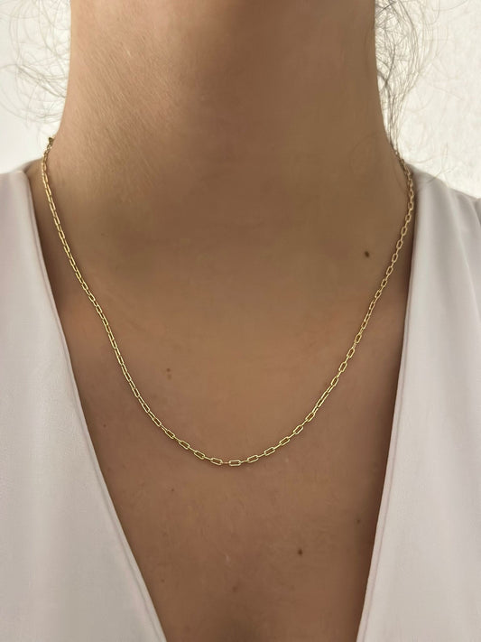 İnce İtalyan Gold Çelik Kolye