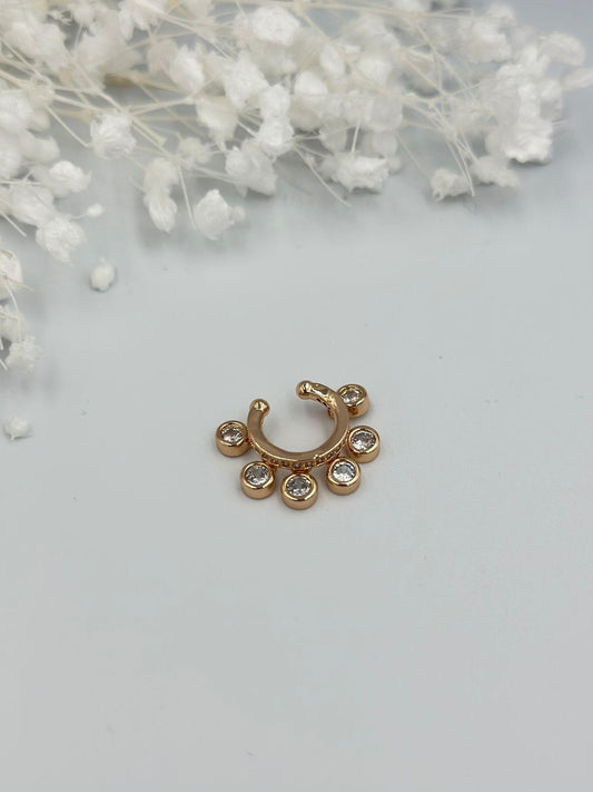 Tek Taş Sallantı Detaylı Kıkırdak Küpe