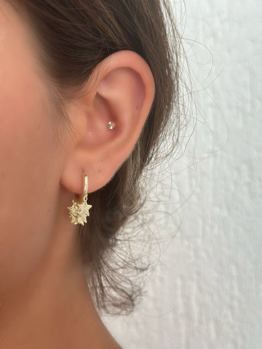 Yıldız Shakira Halka Küpe (Premium)